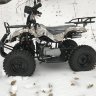 Active 2 (10).jpg