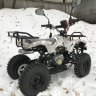 Active 2 (11).jpg