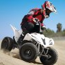 Электро-квадроцикл Razor Dirt Quad.