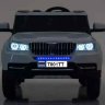 bmw_t001tt2.jpg