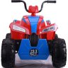 Детский квадроцикл T555TT