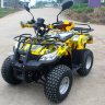 sherhan600_yellow_1.jpg