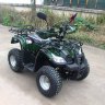 sherhan600_green_1.jpg