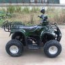 sherhan600_green_2.jpg