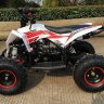 Детский квадроцикл бензиновый MOTAX GEKKON 70cc