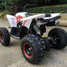 Детский квадроцикл бензиновый MOTAX GEKKON 70cc