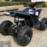 Детский квадроцикл бензиновый MOTAX GEKKON 70cc